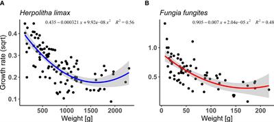 Energy allocation trade-offs as a function of age in fungiid corals